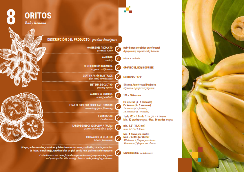 Catalogo productos-PPT-29-MAY (3)_020