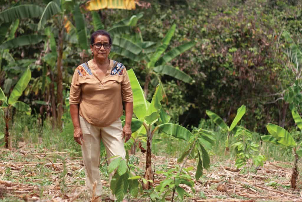 UNOCACE Noticias - Leonor Aspiazu “Para que el cacao nacional no se extinga”